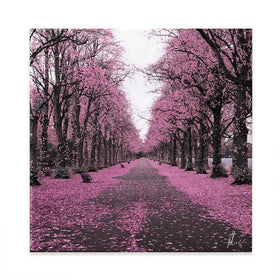 Blossom Path Canvas Print Blossom Path Canvas Print wall art product Aimee Linzi