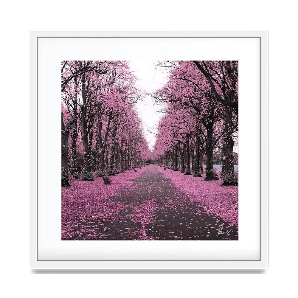 Blossom Path Framed Art Print Blossom Path Framed Art Print wall art product Aimee Linzi