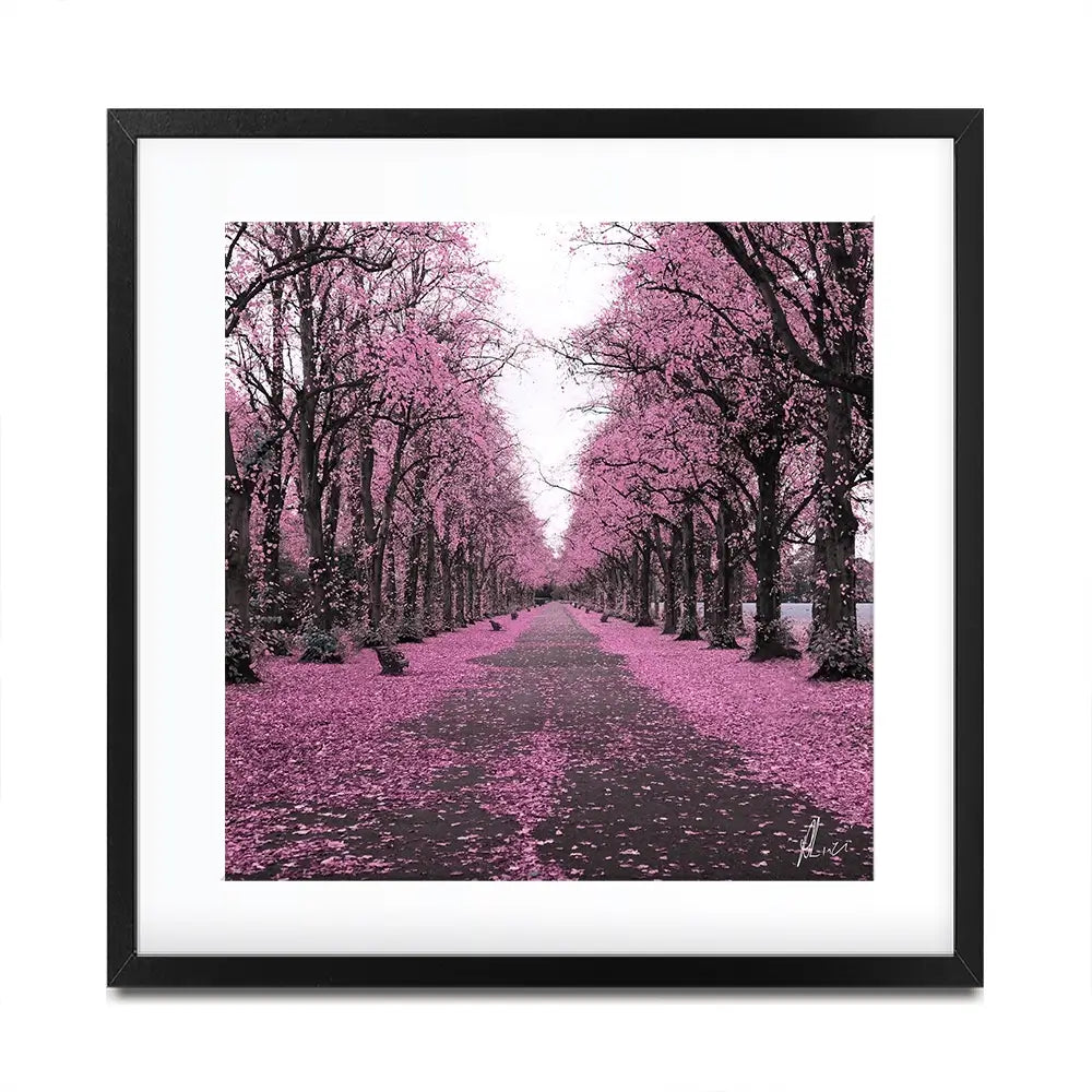 Blossom Path Framed Art Print Blossom Path Framed Art Print wall art product Aimee Linzi