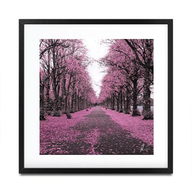 Blossom Path Framed Art Print Blossom Path Framed Art Print wall art product Aimee Linzi