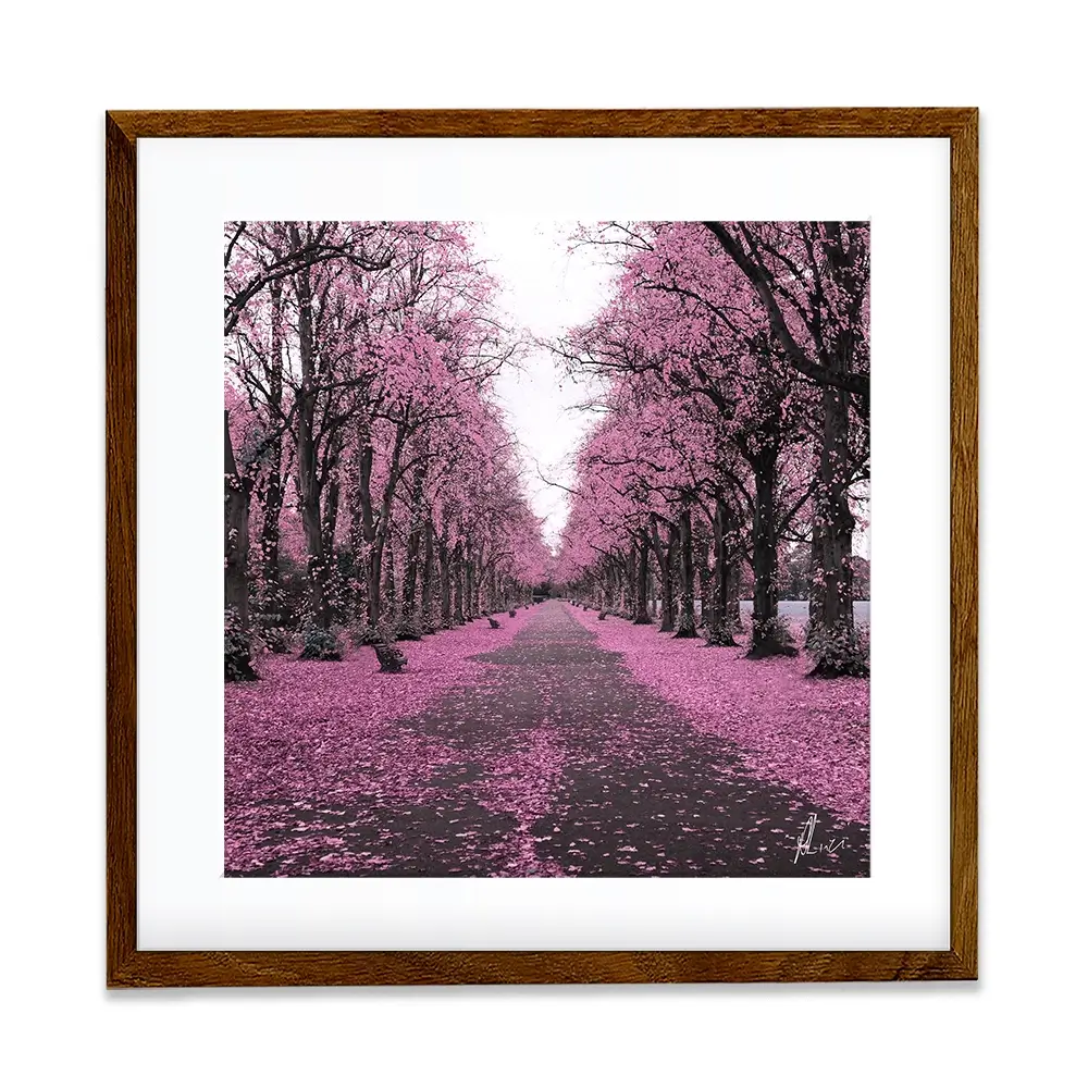 Blossom Path Framed Art Print Blossom Path Framed Art Print wall art product Aimee Linzi