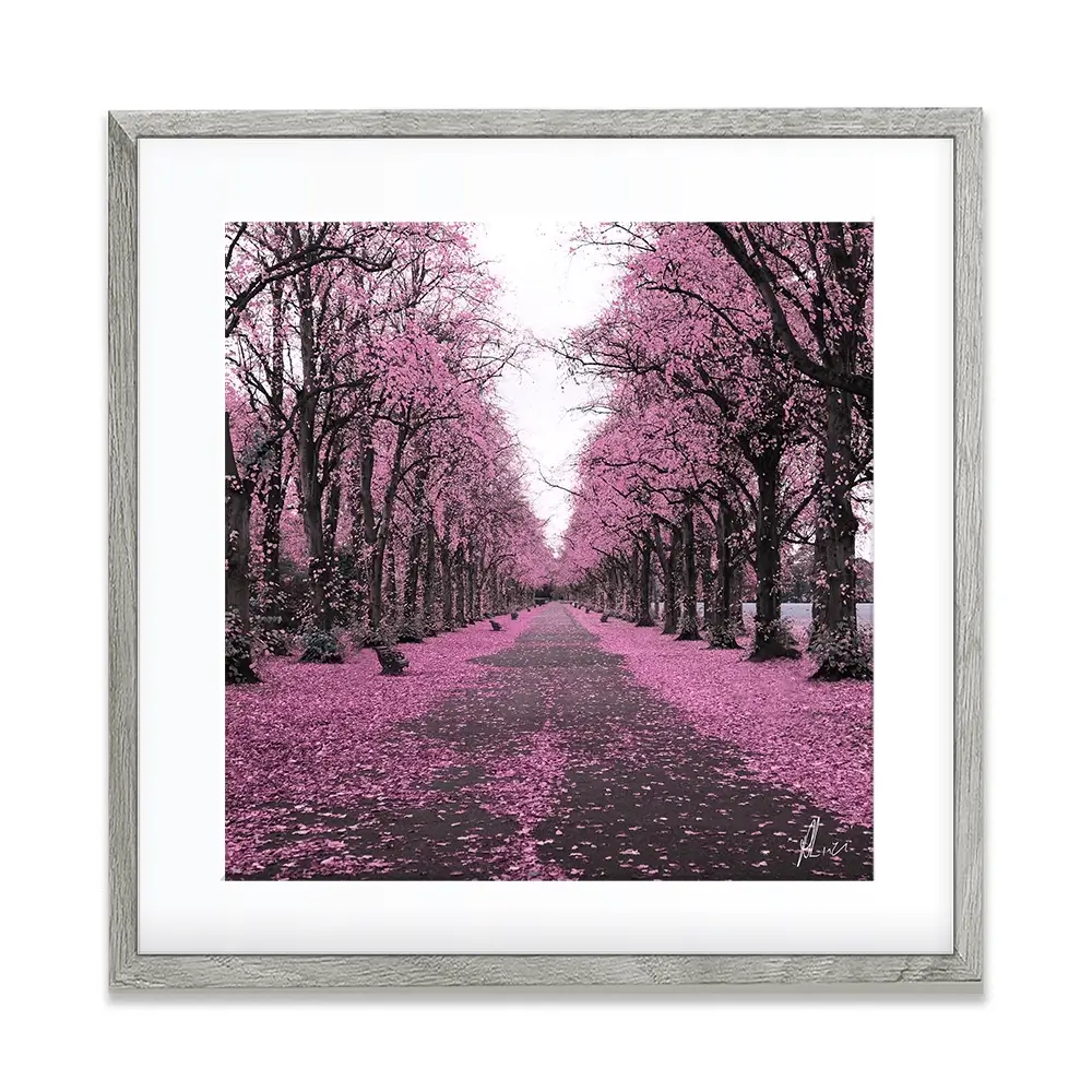 Blossom Path Framed Art Print Blossom Path Framed Art Print wall art product Aimee Linzi