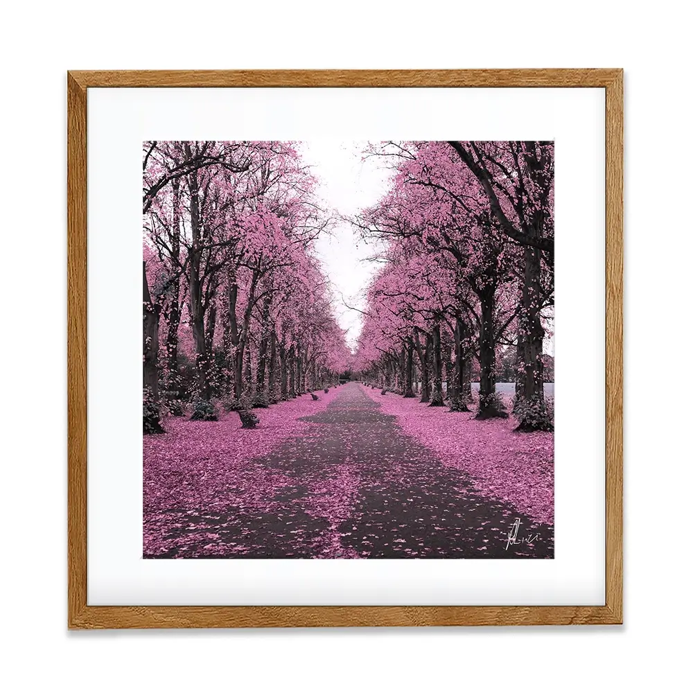 Blossom Path Framed Art Print Blossom Path Framed Art Print wall art product Aimee Linzi
