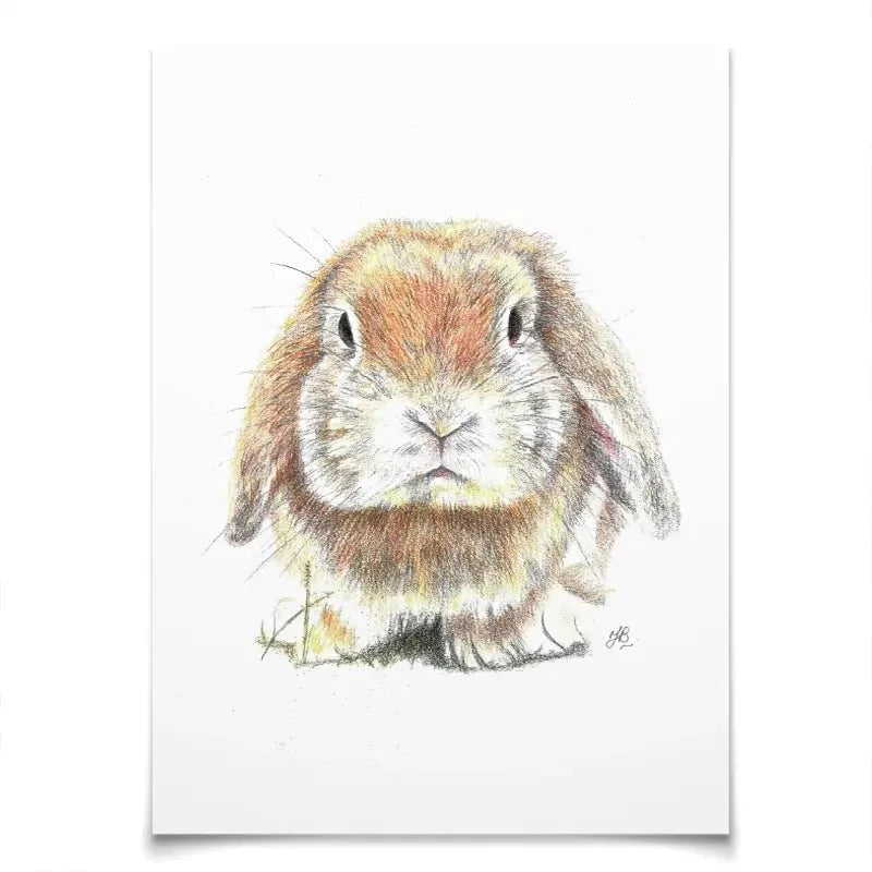 Bunny Illustration Art Print Bunny Illustration Art Print wall art product Jackie Bridges
