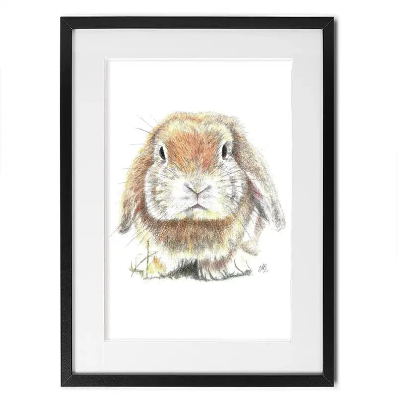 Bunny Illustration Framed Art Print Bunny Illustration Framed Art Print wall art product Jackie Bridges