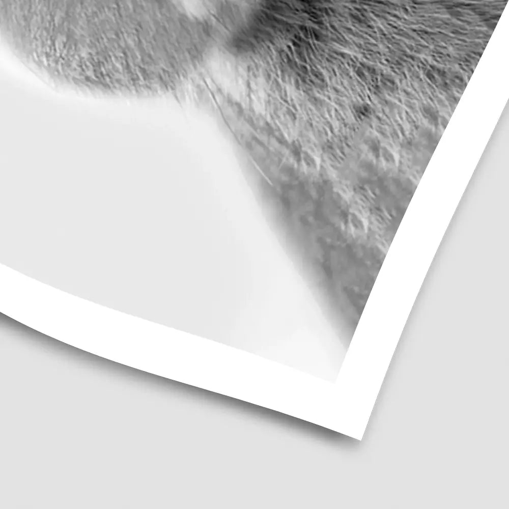 Bunny Rabbit Portrait Art Print Bunny Rabbit Portrait Art Print wall art product R Visser