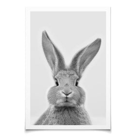 Bunny Rabbit Portrait Art Print Bunny Rabbit Portrait Art Print wall art product R Visser