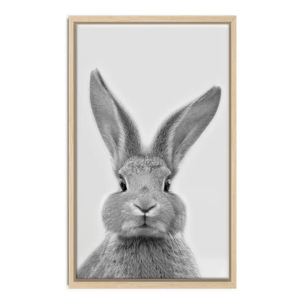 Bunny Rabbit Portrait Canvas Print Bunny Rabbit Portrait Canvas Print wall art product R Visser