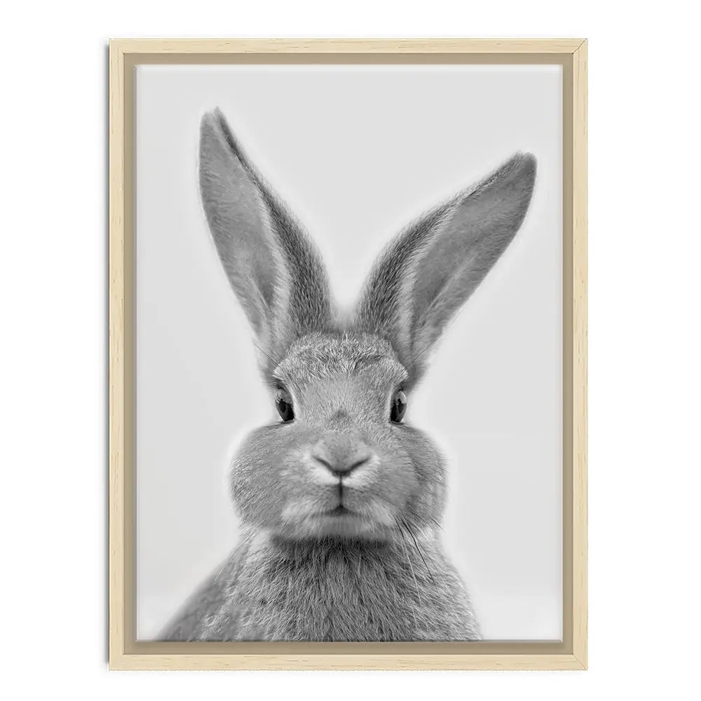 Bunny Rabbit Portrait Canvas Print Bunny Rabbit Portrait Canvas Print wall art product R Visser