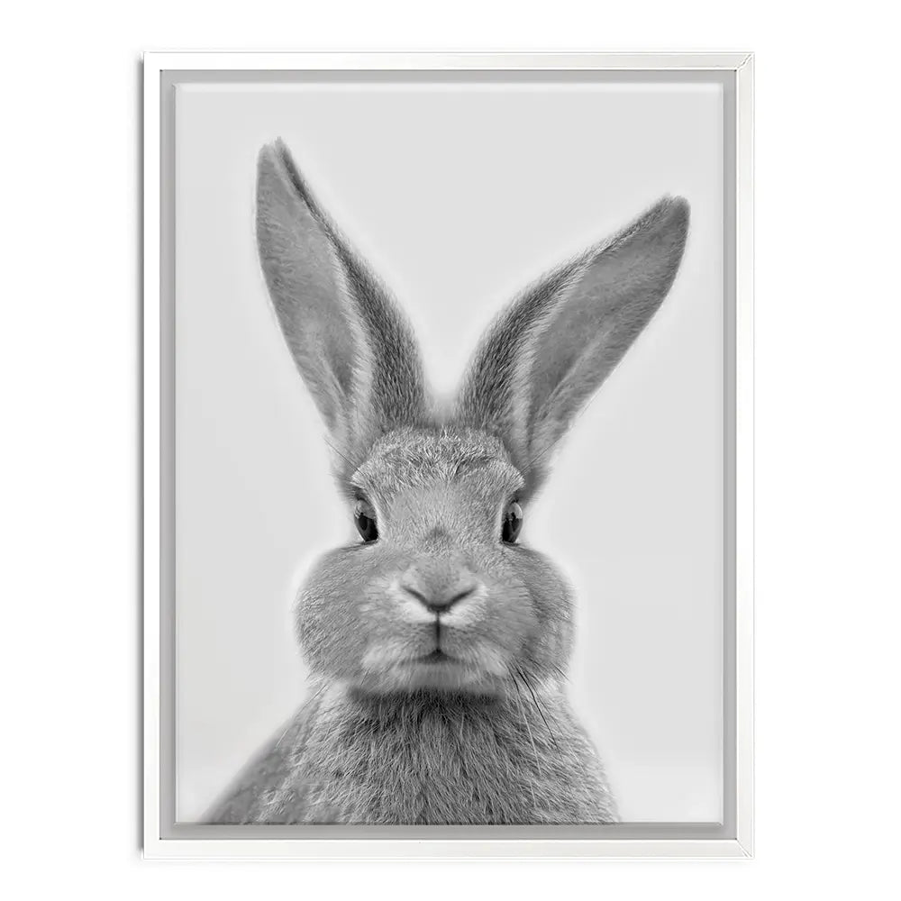 Bunny Rabbit Portrait Canvas Print Bunny Rabbit Portrait Canvas Print wall art product R Visser