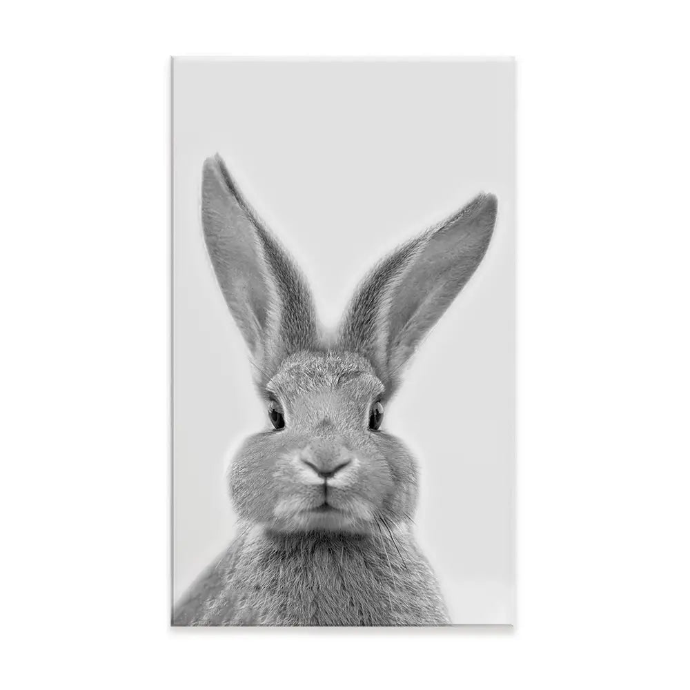 Bunny Rabbit Portrait Canvas Print Bunny Rabbit Portrait Canvas Print wall art product R Visser