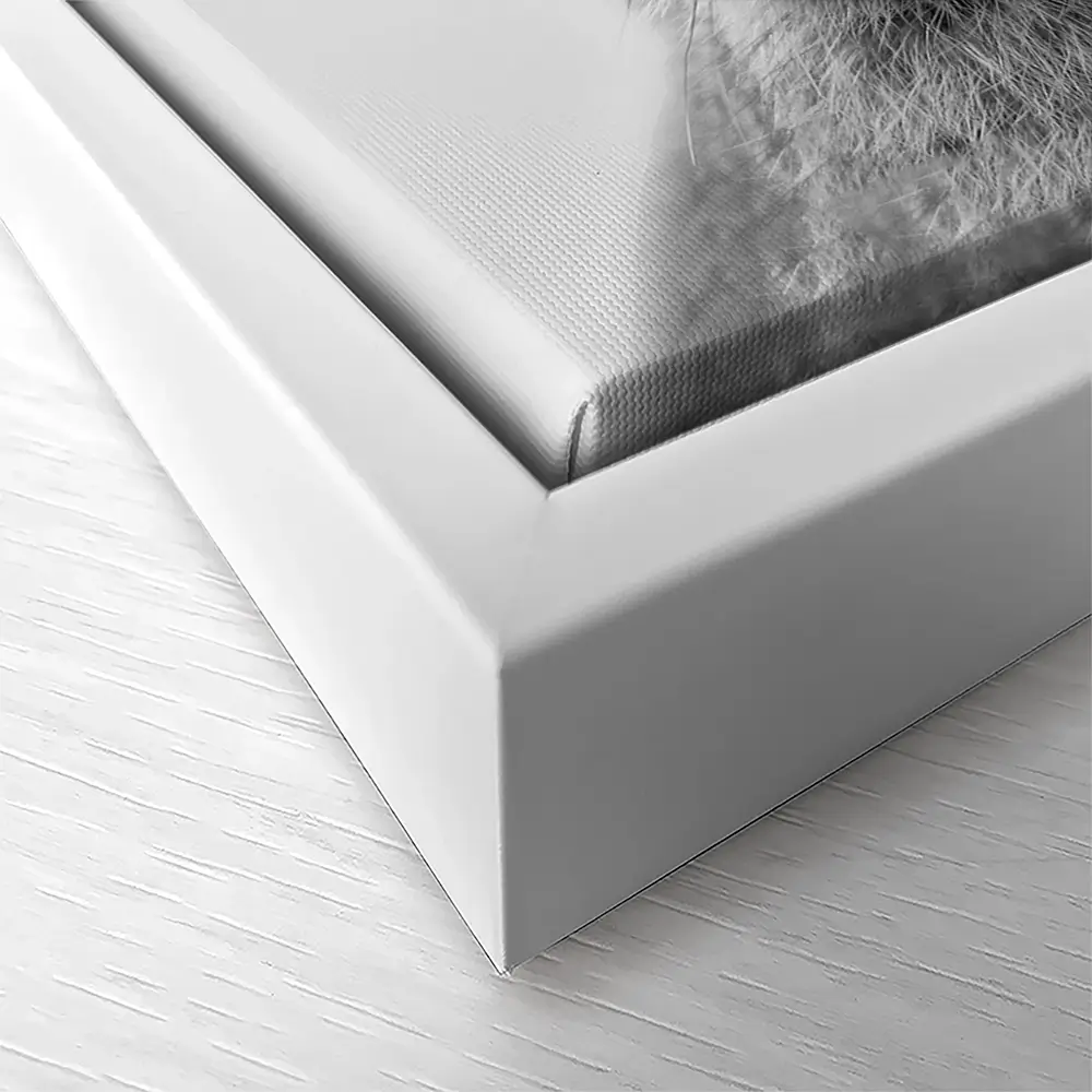Bunny Rabbit Portrait Canvas Print Bunny Rabbit Portrait Canvas Print wall art product R Visser