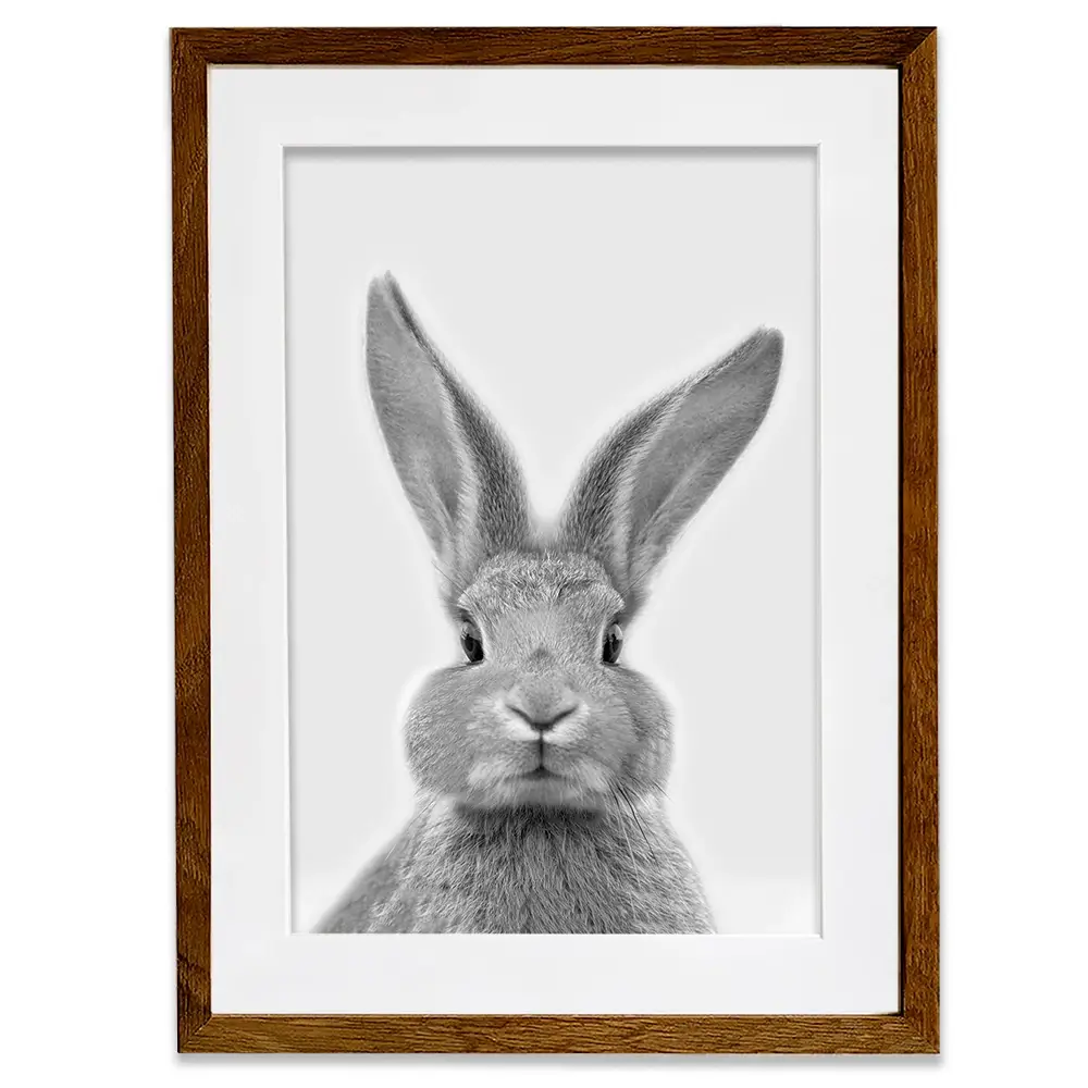 Bunny Rabbit Portrait Framed Art Print Bunny Rabbit Portrait Framed Art Print wall art product R Visser