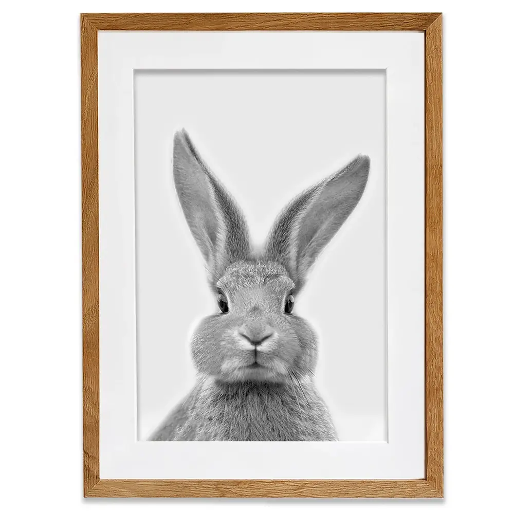Bunny Rabbit Portrait Framed Art Print Bunny Rabbit Portrait Framed Art Print wall art product R Visser