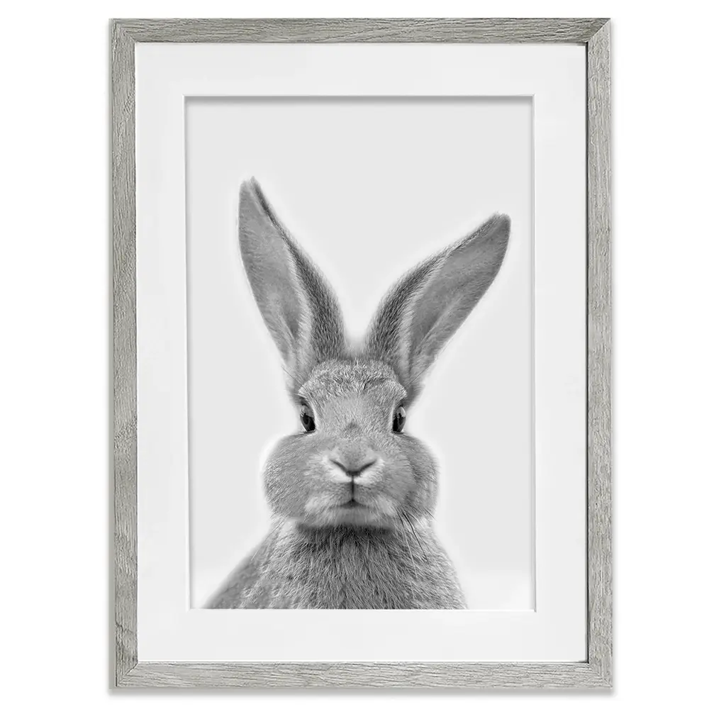 Bunny Rabbit Portrait Framed Art Print Bunny Rabbit Portrait Framed Art Print wall art product R Visser