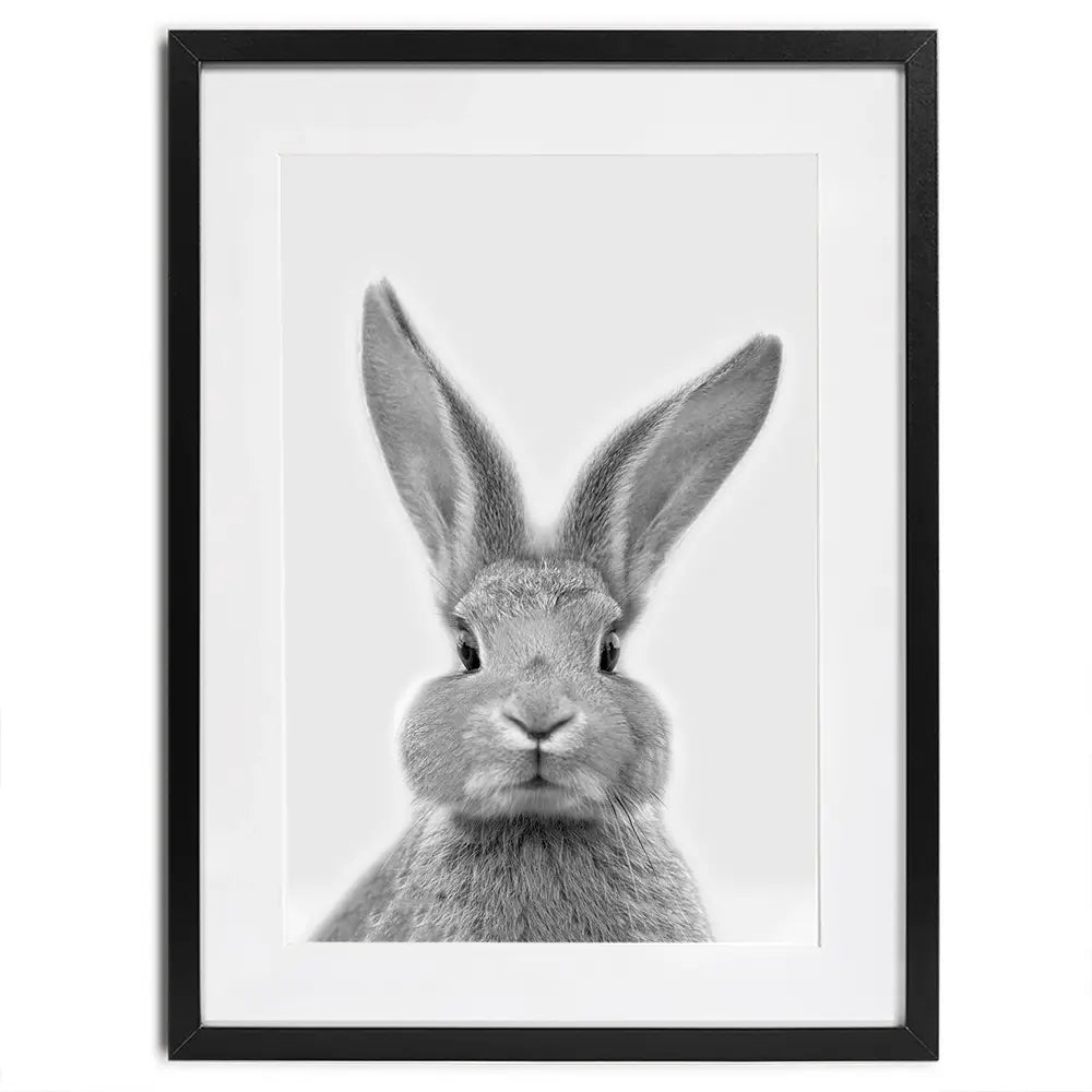 Bunny Rabbit Portrait Framed Art Print Bunny Rabbit Portrait Framed Art Print wall art product R Visser