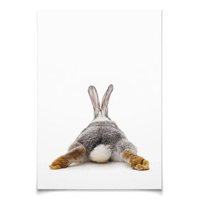 Bunny Rabbit Tail Art Print Bunny Rabbit Tail Art Print wall art product Oleksandr Lytvynenko / Shutterstock