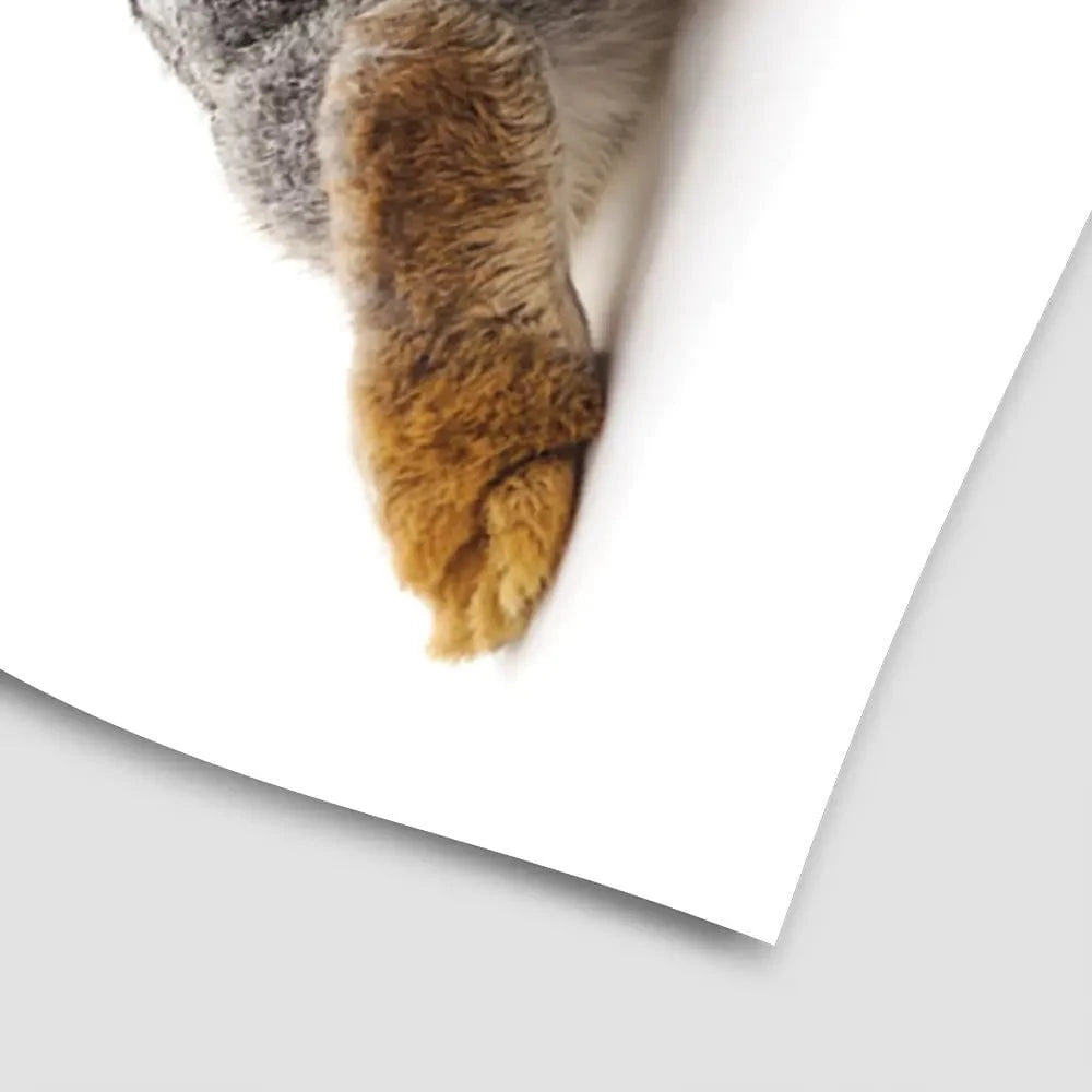 Bunny Rabbit Tail Art Print Bunny Rabbit Tail Art Print wall art product Oleksandr Lytvynenko / Shutterstock