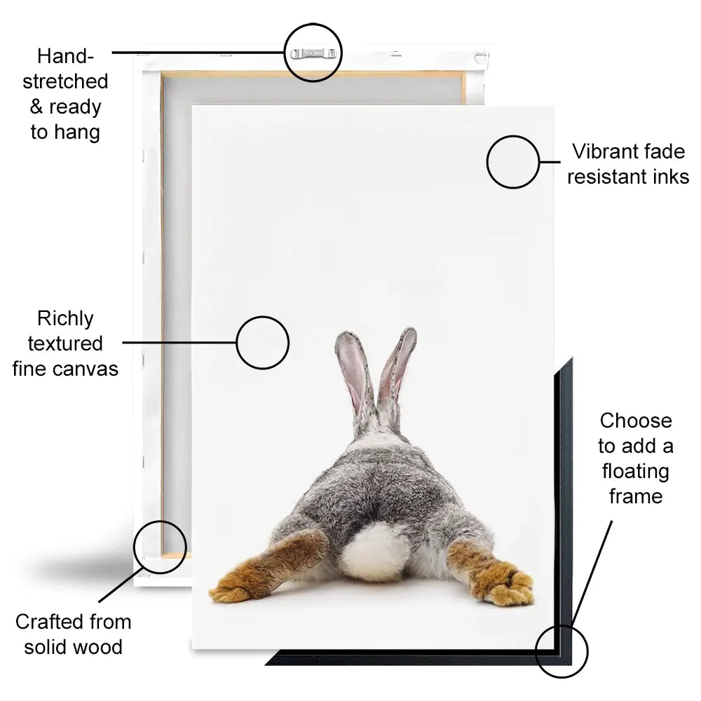 Bunny Rabbit Tail Canvas Print Bunny Rabbit Tail Canvas Print wall art product Oleksandr Lytvynenko / Shutterstock