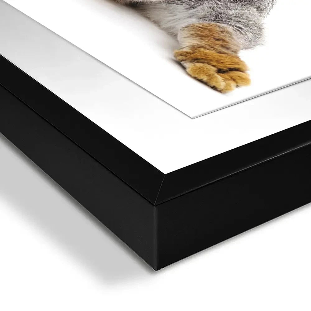 Bunny Rabbit Tail Framed Art Print Bunny Rabbit Tail Framed Art Print wall art product Oleksandr Lytvynenko / Shutterstock