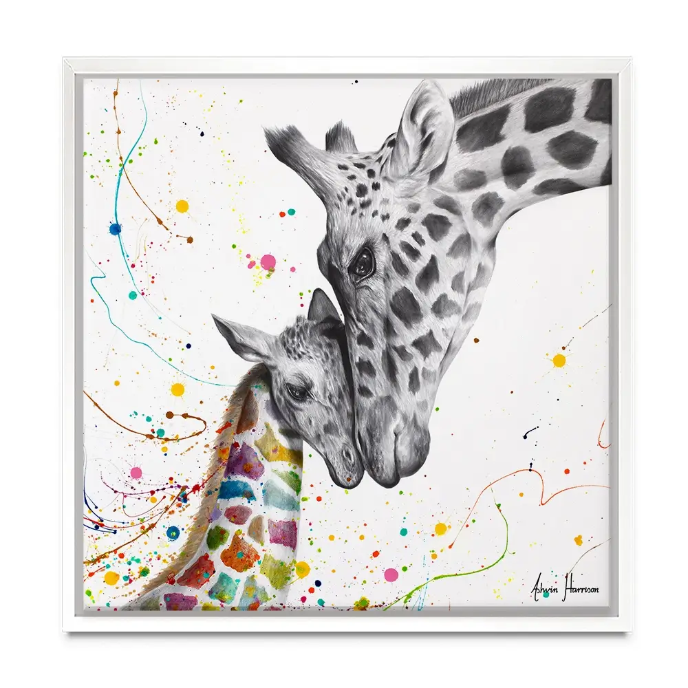 Celebration Of Love Square Canvas Print Celebration Of Love Square Canvas Print wall art product Ashvin Harrison