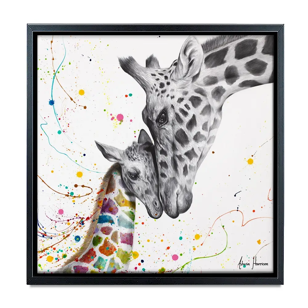 Celebration Of Love Square Canvas Print Celebration Of Love Square Canvas Print wall art product Ashvin Harrison