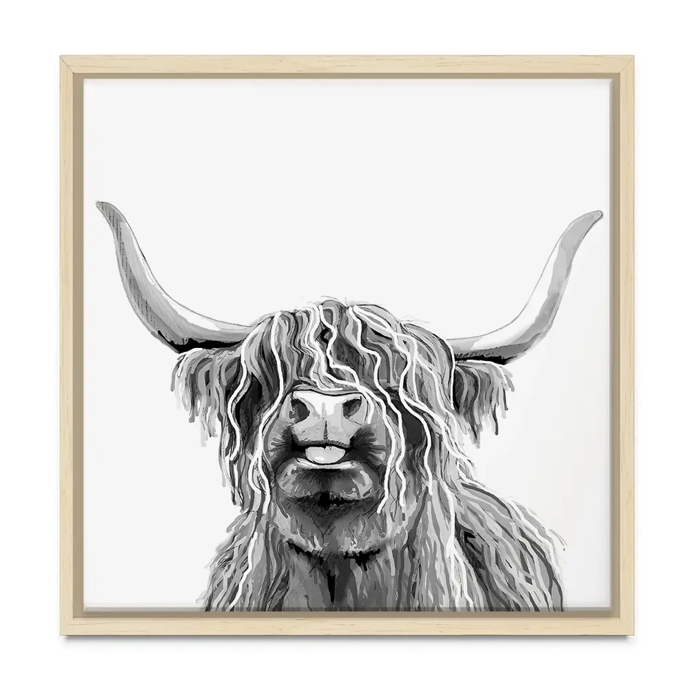Cheeky Black And White Highland Cow Square Canvas Print Cheeky Black And White Highland Cow Square Canvas Print wall art product Art Print Shop