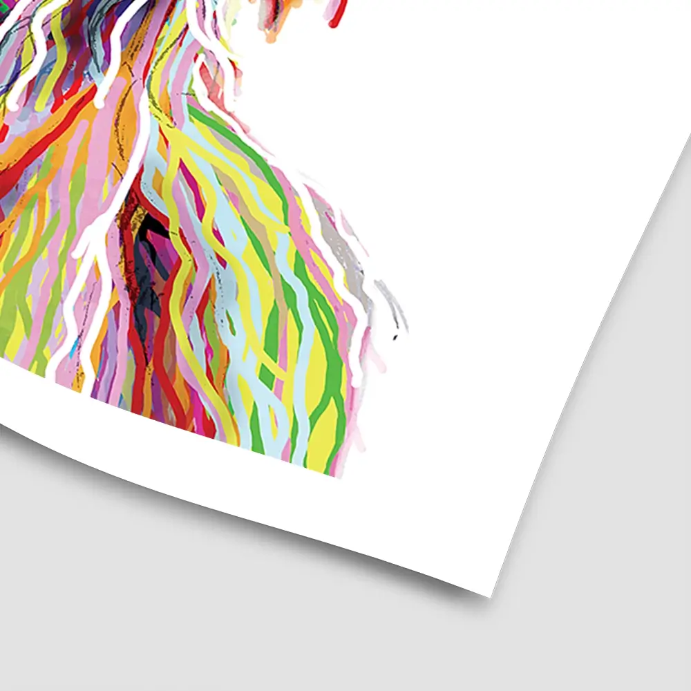 Cheeky White Highland Cow Square Art Print Cheeky White Highland Cow Square Art Print wall art product Independent