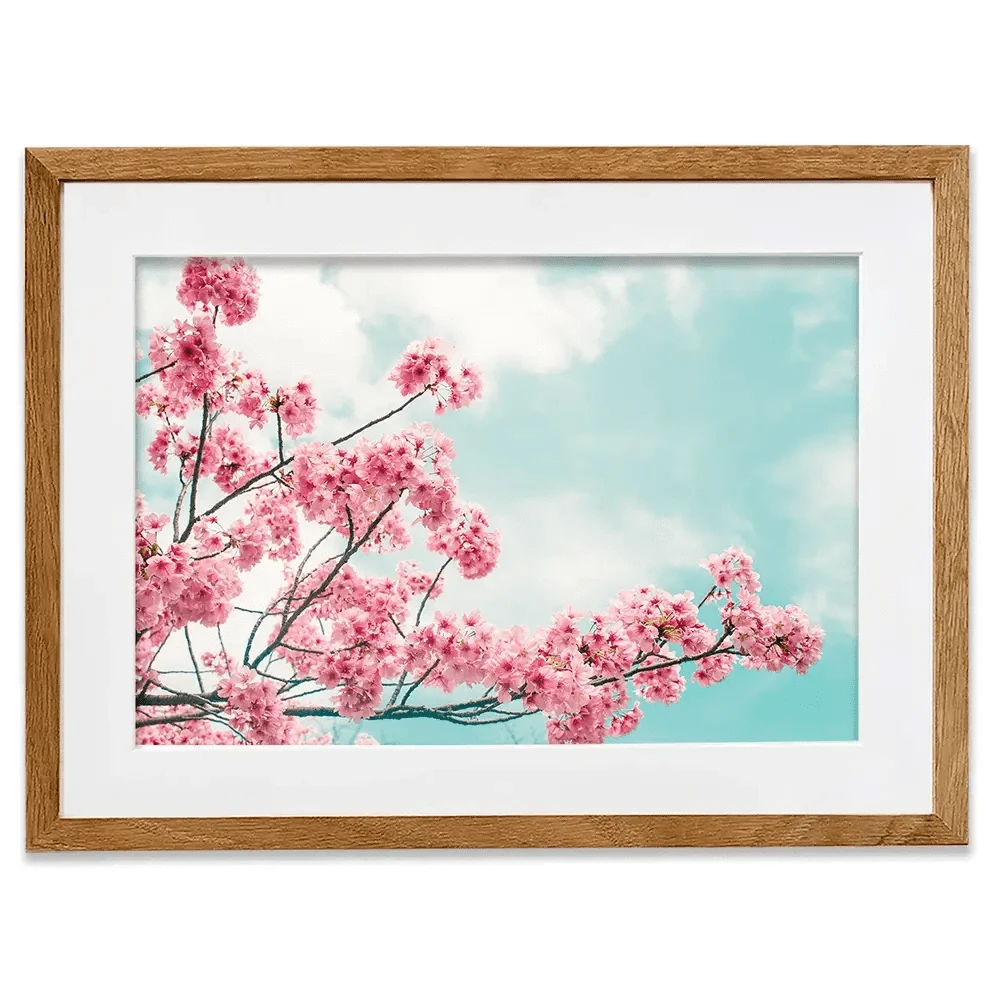 Cherry Blossom Framed Art Print Cherry Blossom Framed Art Print wall art product Makistock / Shutterstock