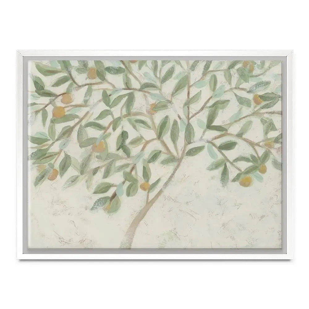 Citrus Tree Canvas Print Citrus Tree Canvas Print wall art product June Erica Vess