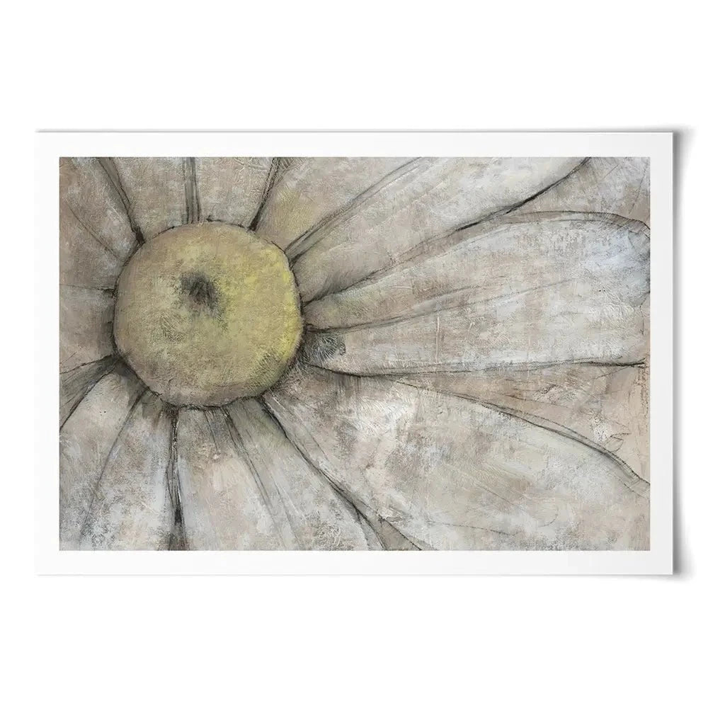 Close Up Daisy Art Print Close Up Daisy Art Print wall art product Tim O'Toole