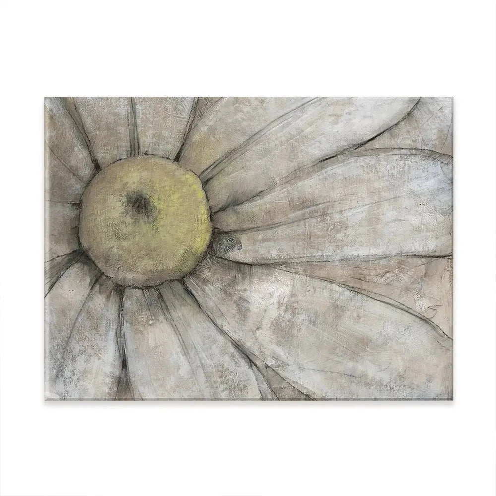 Close Up Daisy Canvas Print Close Up Daisy Canvas Print wall art product Tim O'Toole