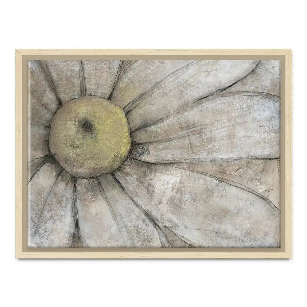 Close Up Daisy Canvas Print Close Up Daisy Canvas Print wall art product Tim O'Toole