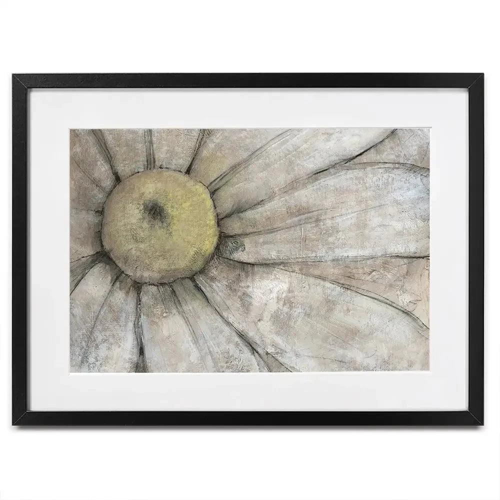 Close Up Daisy Framed Art Print Close Up Daisy Framed Art Print wall art product Tim O'Toole