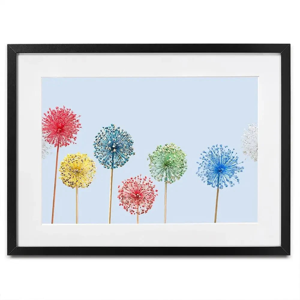 Coloured Dandelions Framed Art Print Coloured Dandelions Framed Art Print wall art product Svetlana Foote / Shutterstock
