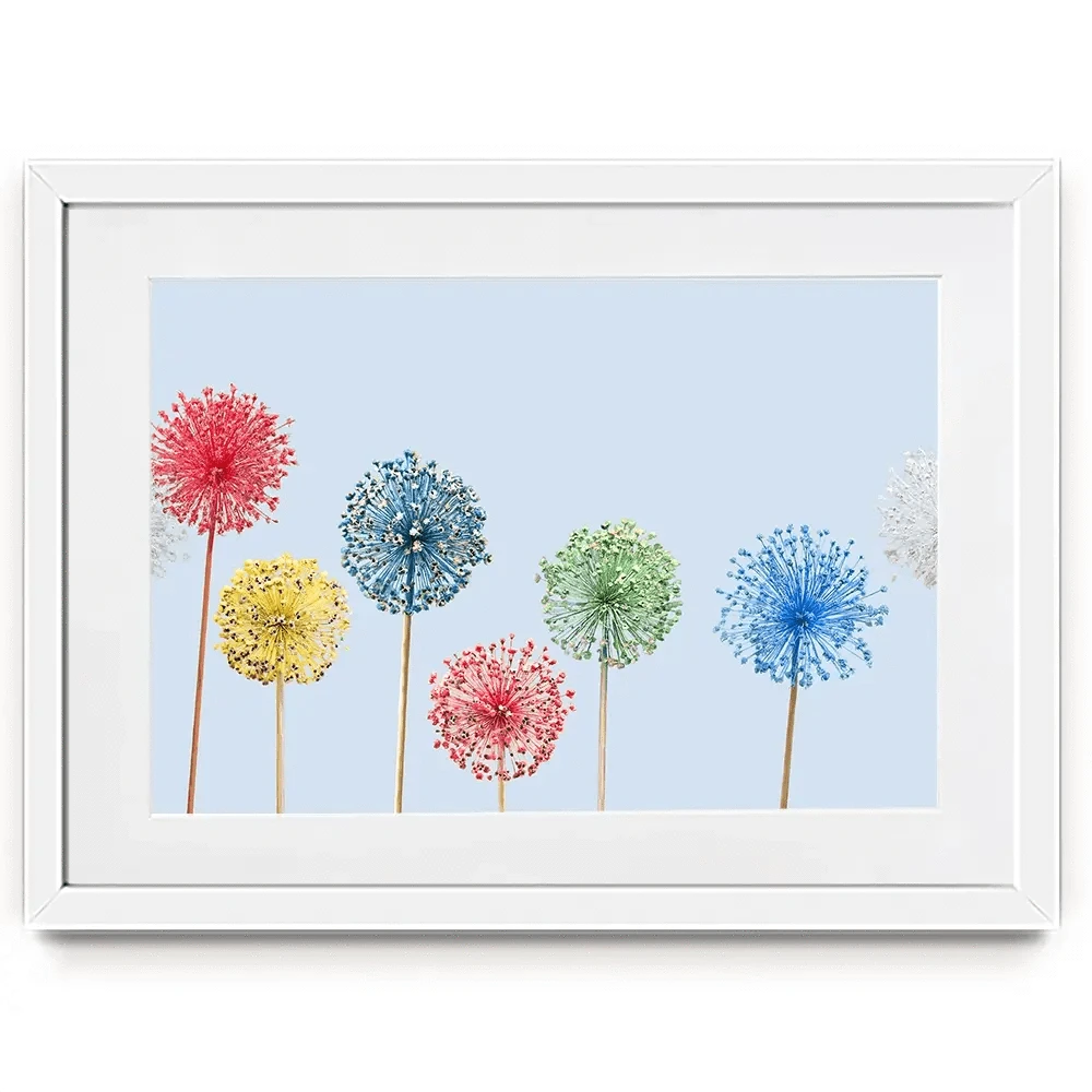 Coloured Dandelions Framed Art Print Coloured Dandelions Framed Art Print wall art product Svetlana Foote / Shutterstock