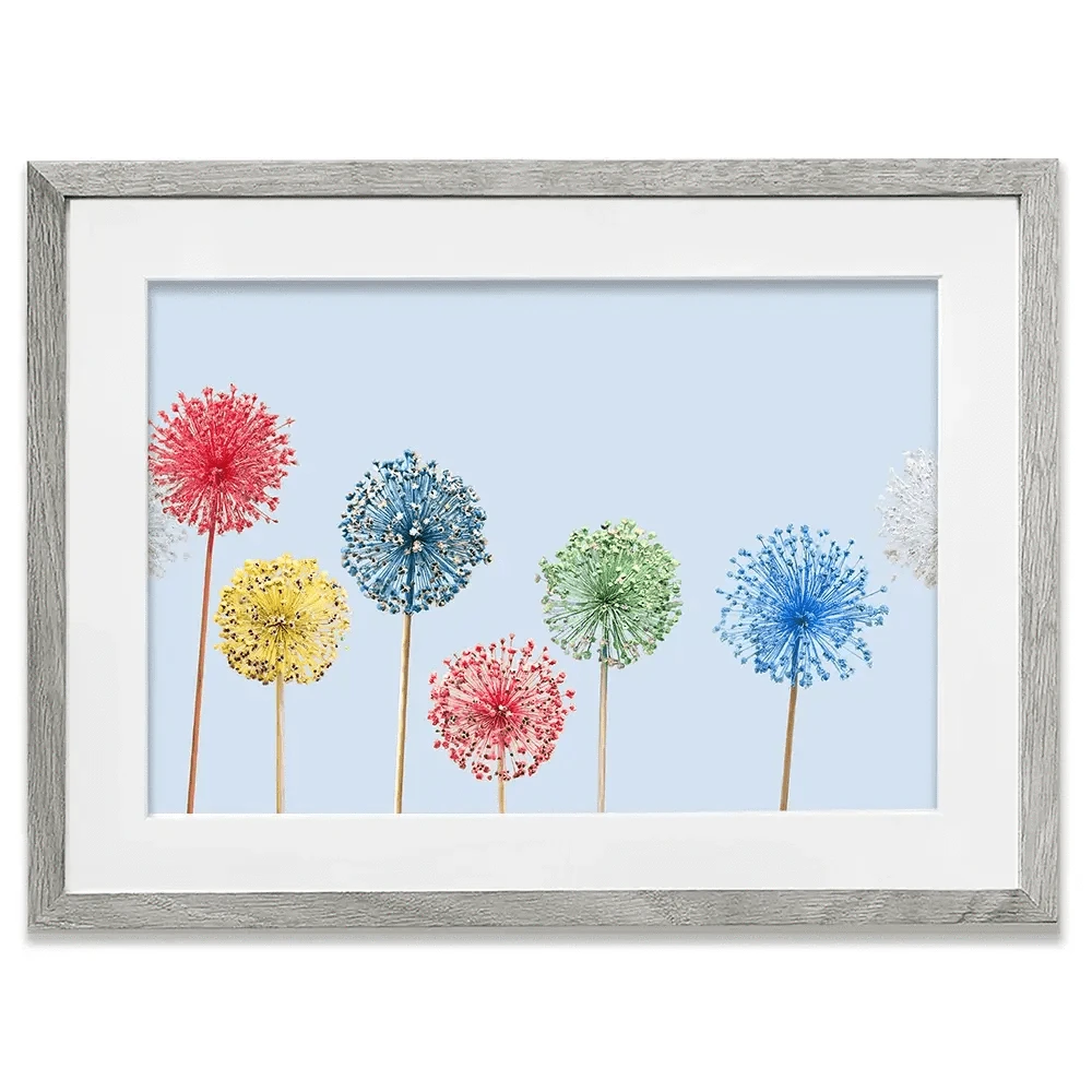Coloured Dandelions Framed Art Print Coloured Dandelions Framed Art Print wall art product Svetlana Foote / Shutterstock
