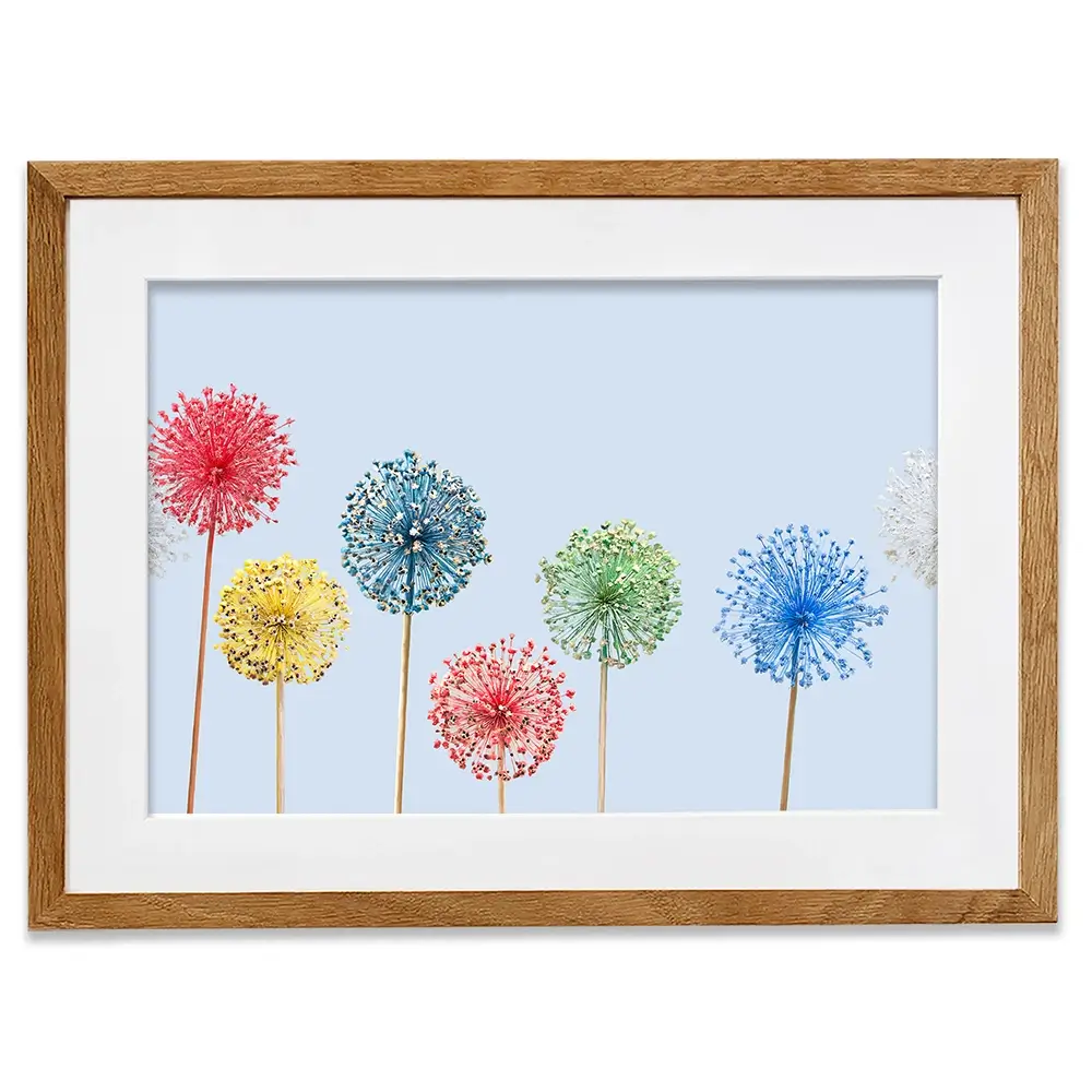 Coloured Dandelions Framed Art Print Coloured Dandelions Framed Art Print wall art product Svetlana Foote / Shutterstock