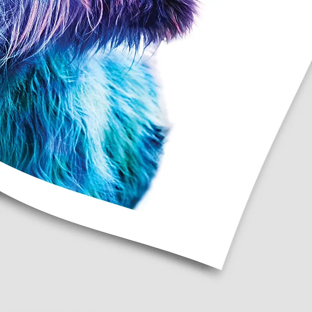 Colourful Blue Highland Cow Square Art Print Colourful Blue Highland Cow Square Art Print wall art product Patricia Chumillas / Shutterstock