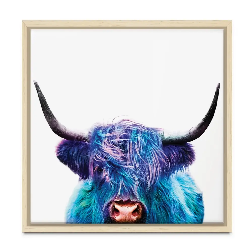 Colourful Blue Highland Cow Square Canvas Print Colourful Blue Highland Cow Square Canvas Print wall art product Patricia Chumillas / Shutterstock