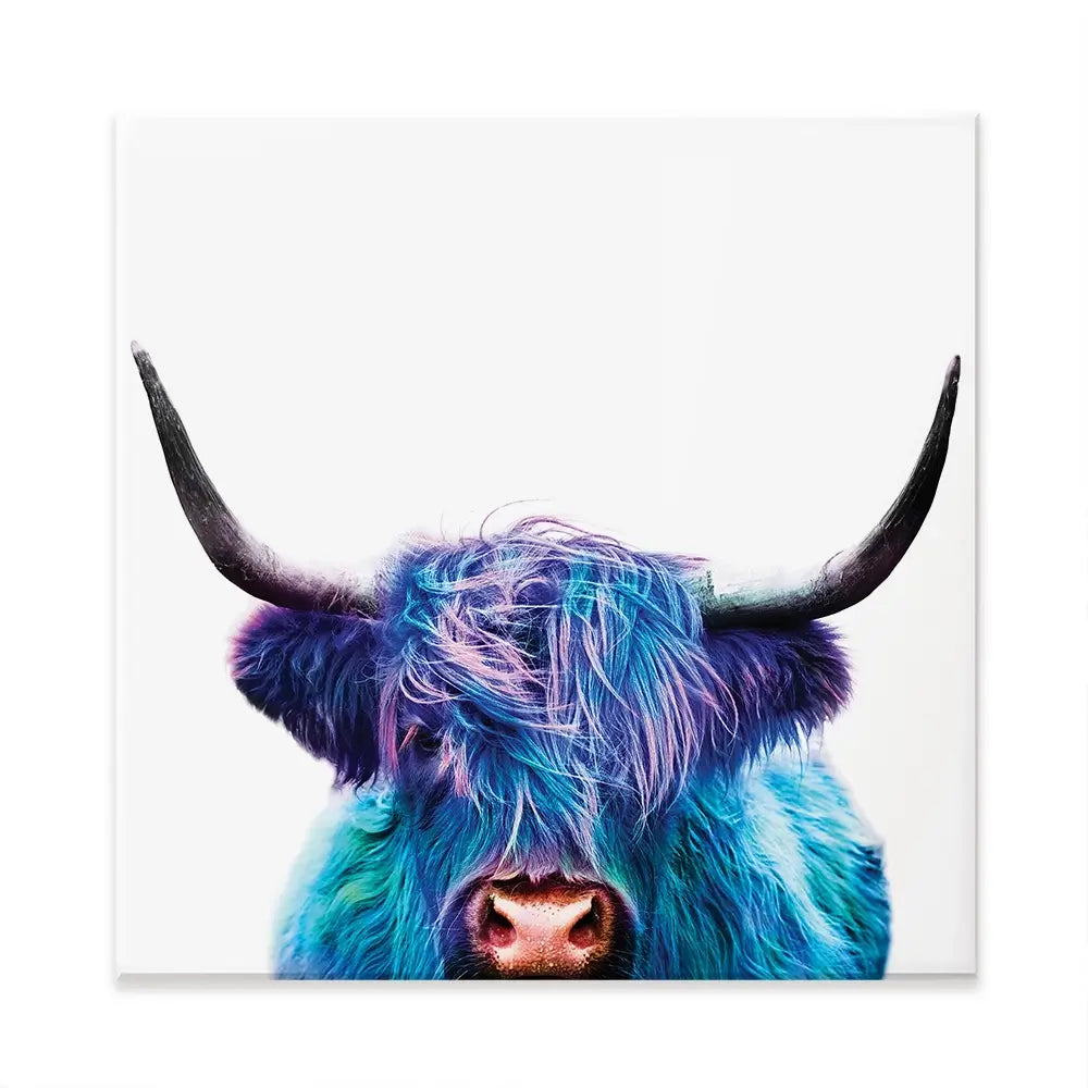 Colourful Blue Highland Cow Square Canvas Print Colourful Blue Highland Cow Square Canvas Print wall art product Patricia Chumillas / Shutterstock