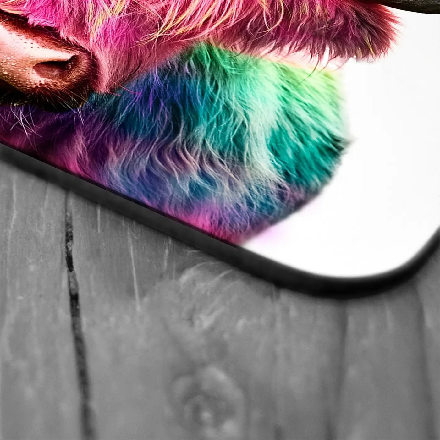Colourful Pink Highland Cow Coaster Set Colourful Pink Highland Cow Coaster Set wall art product Patricia Chumillas / Shutterstock