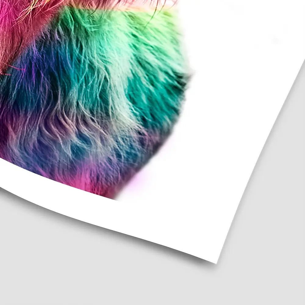 Colourful Pink Highland Cow Square Art Print Colourful Pink Highland Cow Square Art Print wall art product Art Print Shop