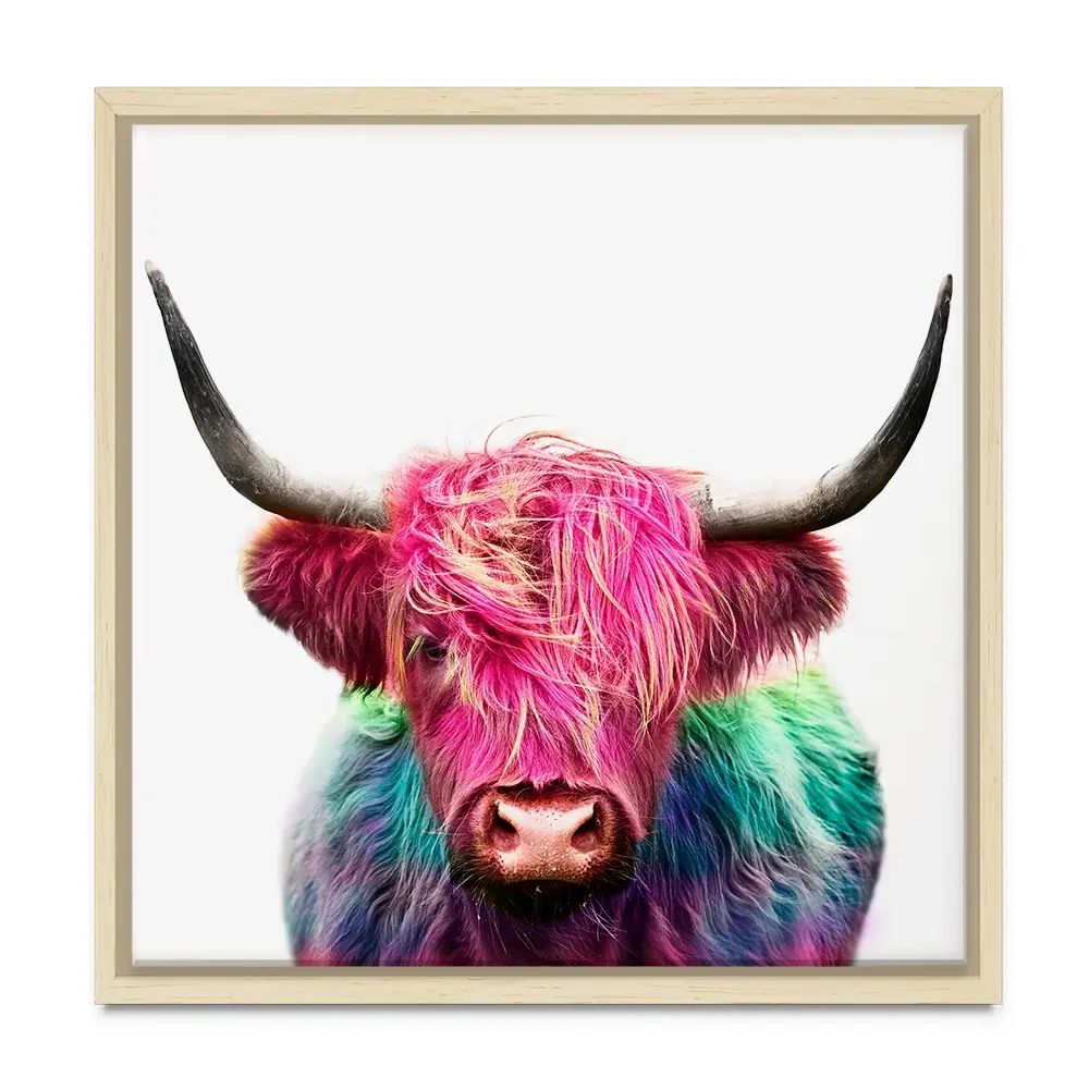 Colourful Pink Highland Cow Square Canvas Print Colourful Pink Highland Cow Square Canvas Print wall art product Art Print Shop