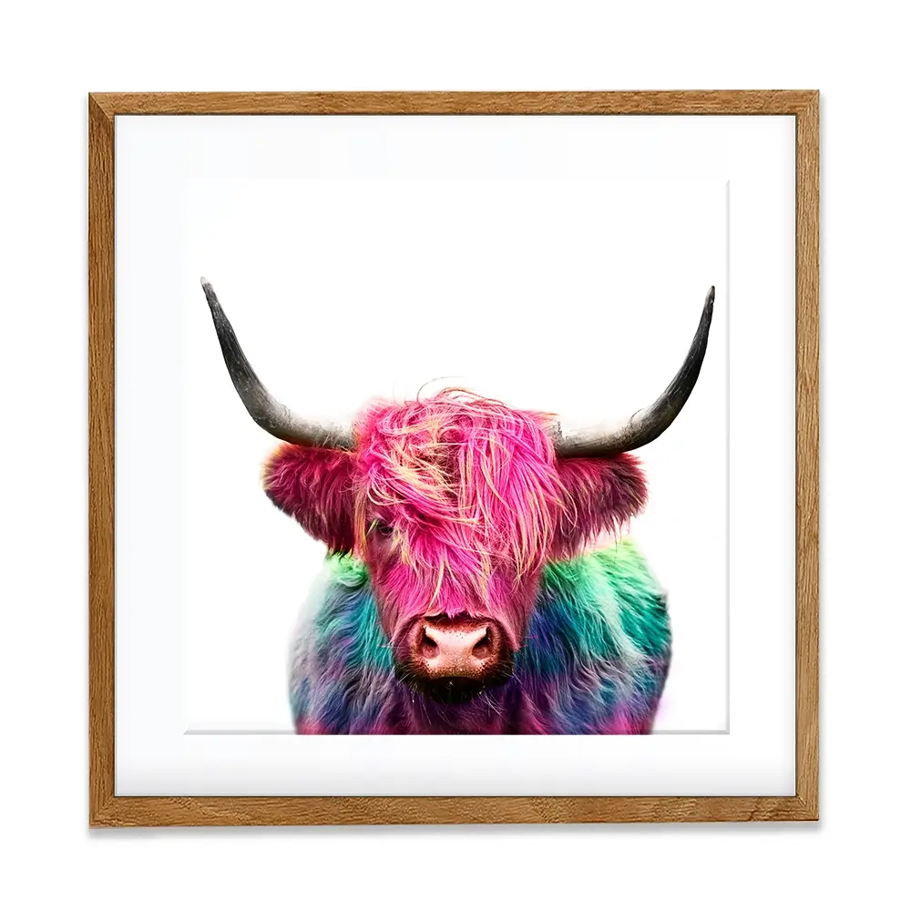 Colourful Pink Highland Cow Square Framed Art Print Colourful Pink Highland Cow Square Framed Art Print wall art product Art Print Shop