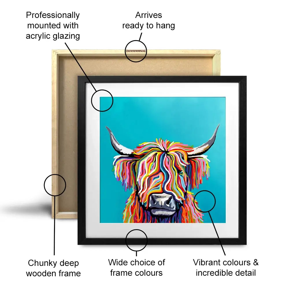 Colourful Scottish Cow Square Framed Art Print Colourful Scottish Cow Square Framed Art Print wall art product Independent