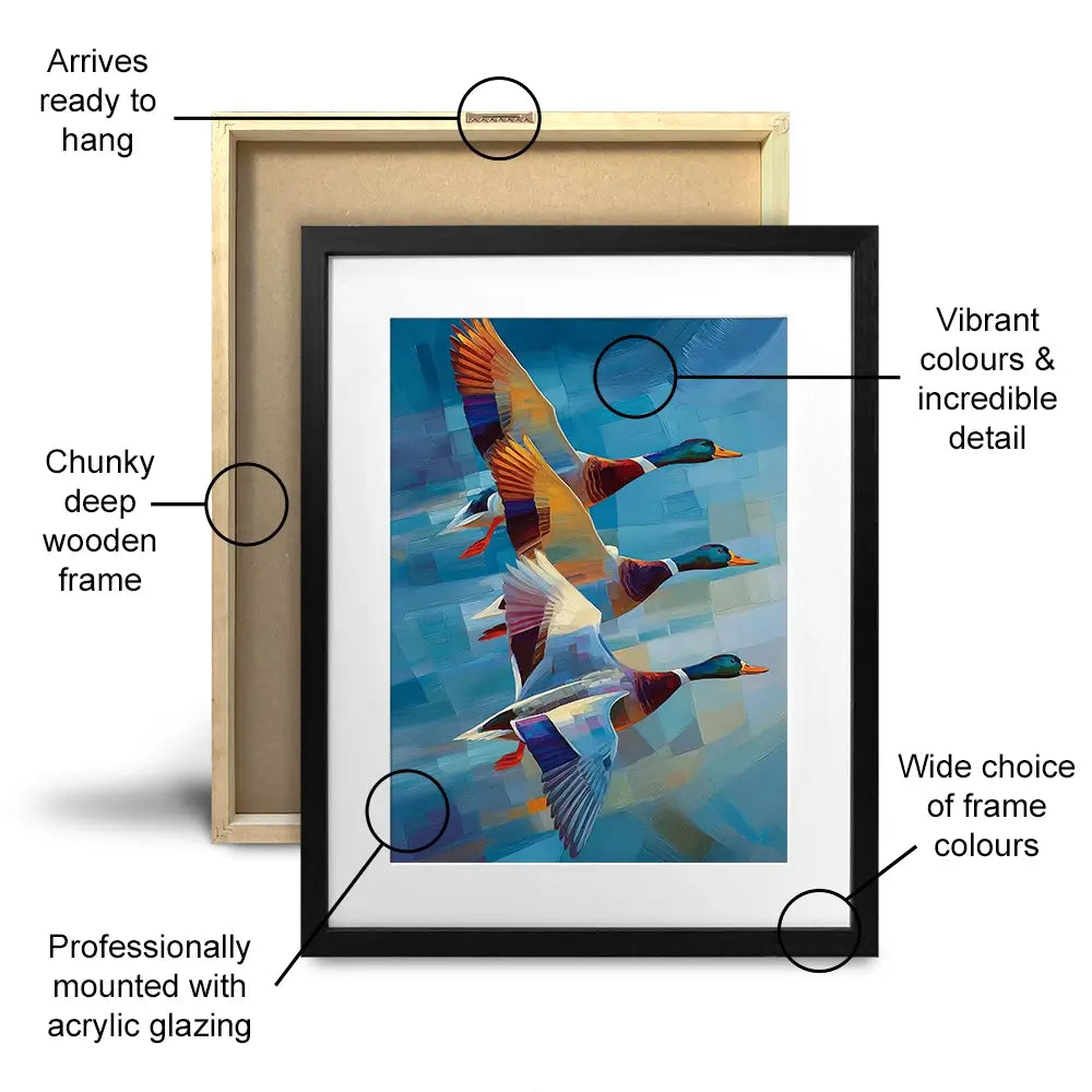 Contemporary Ducks Framed Art Print Contemporary Ducks Framed Art Print wall art product David Alexander Elder
