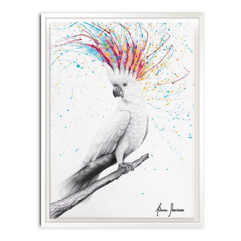 Cool Cocktaoo Canvas Print wall art product Ashvin Harrison