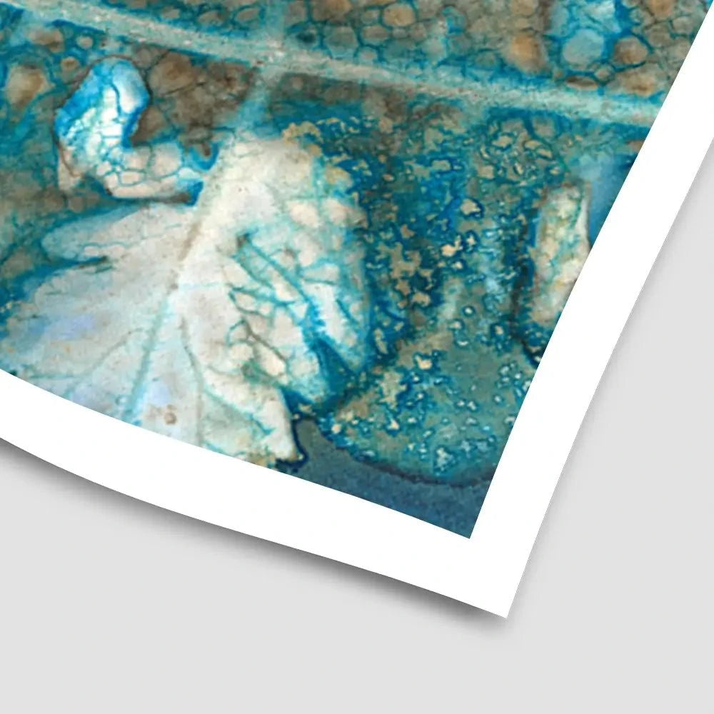 Cyanotype Leaves Art Print Cyanotype Leaves Art Print wall art product Regina Moore