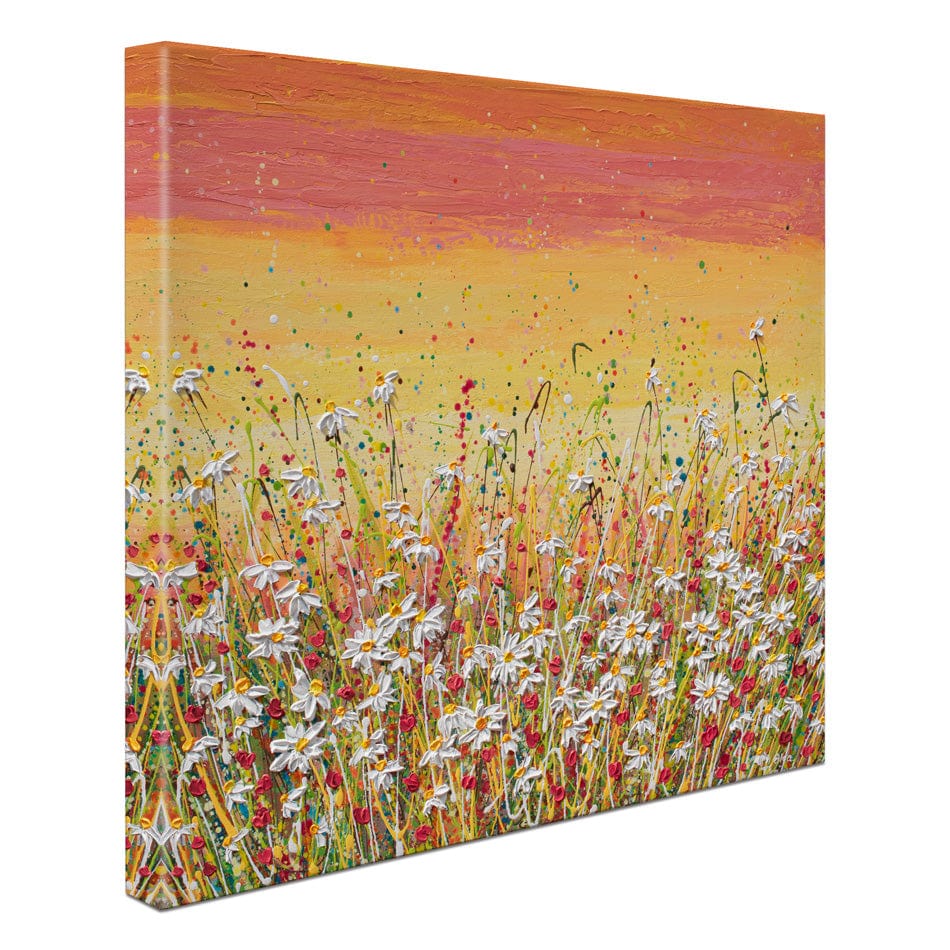 Daisies At Sunset Canvas Print wall art product Olga Tkachyk